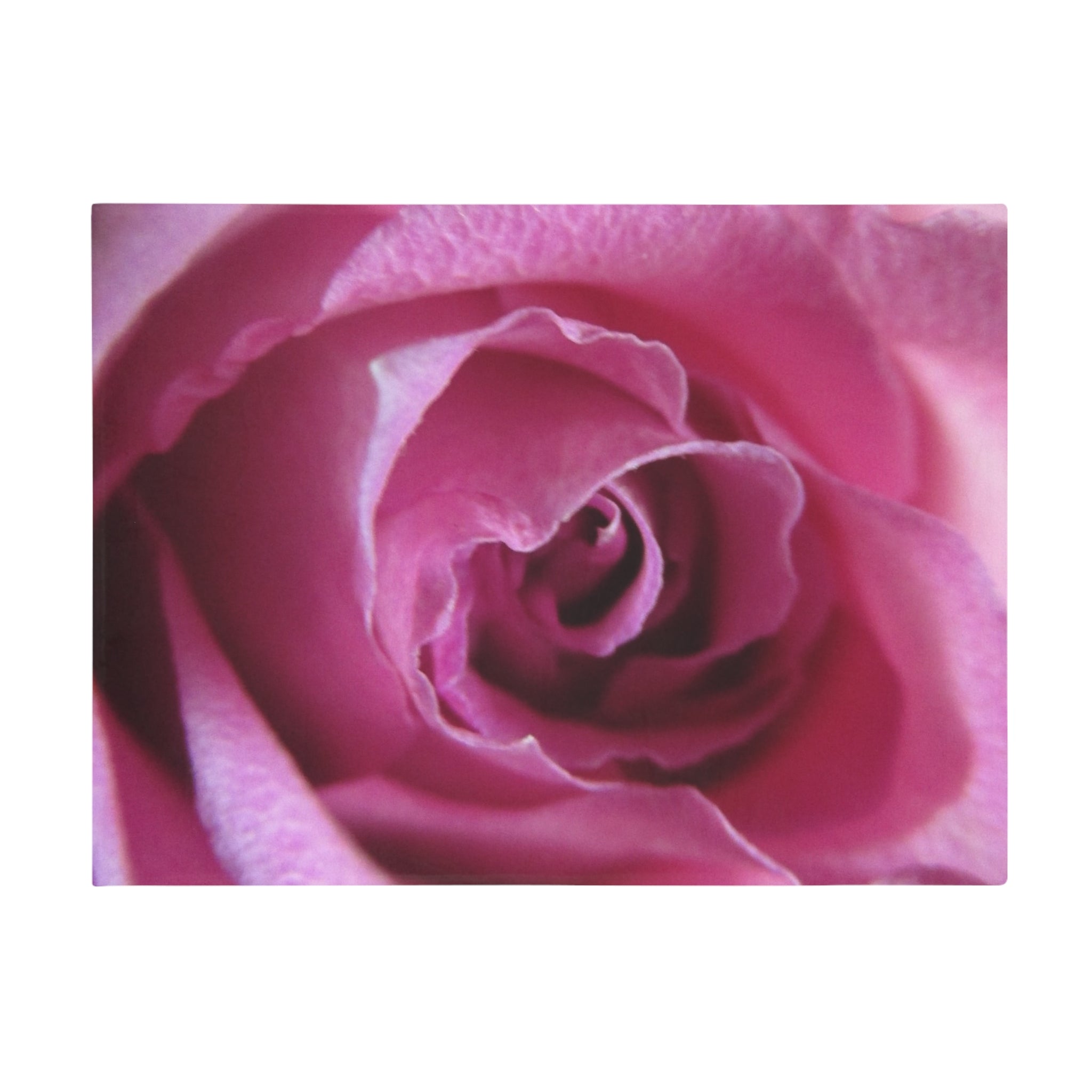 Realistic Single Rose Plush Fleece Blanket - Luxurious Garden Comfort Bedding | Blossom Blankets