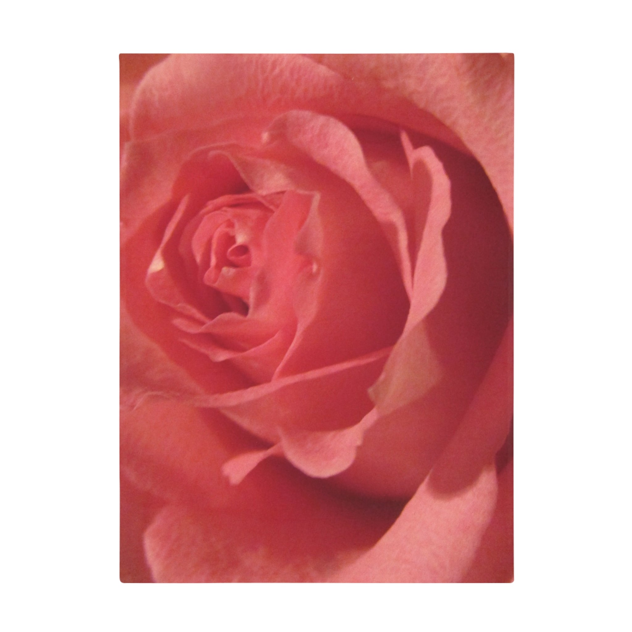 Rose-Themed | Plush Fleece Blanket | Blossom Blankets