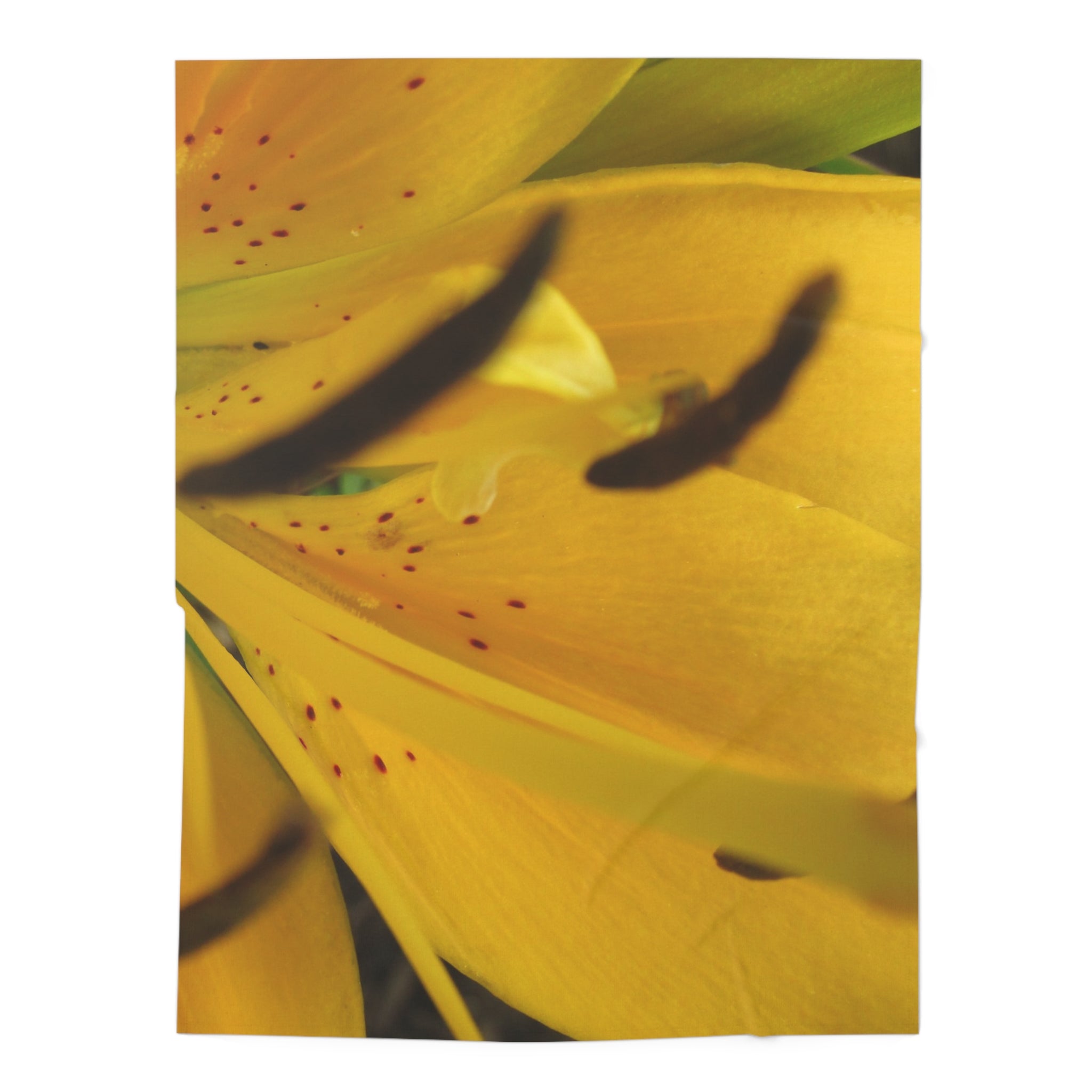 Vibrant Floral | Baby Swaddle Blanket & Wrap | Blossom Blankets