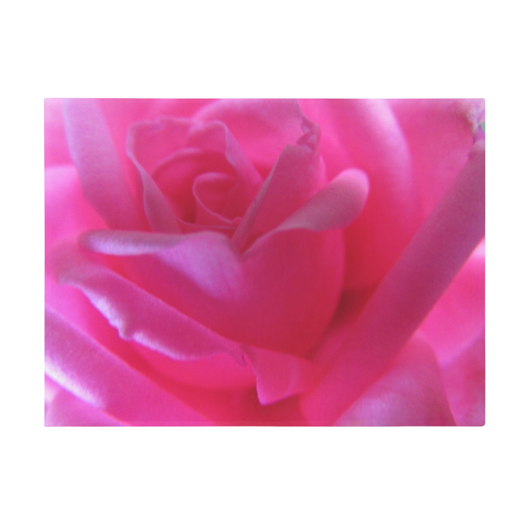 Soft Floral Rose | Fleece Blanket | Blossom Blankets