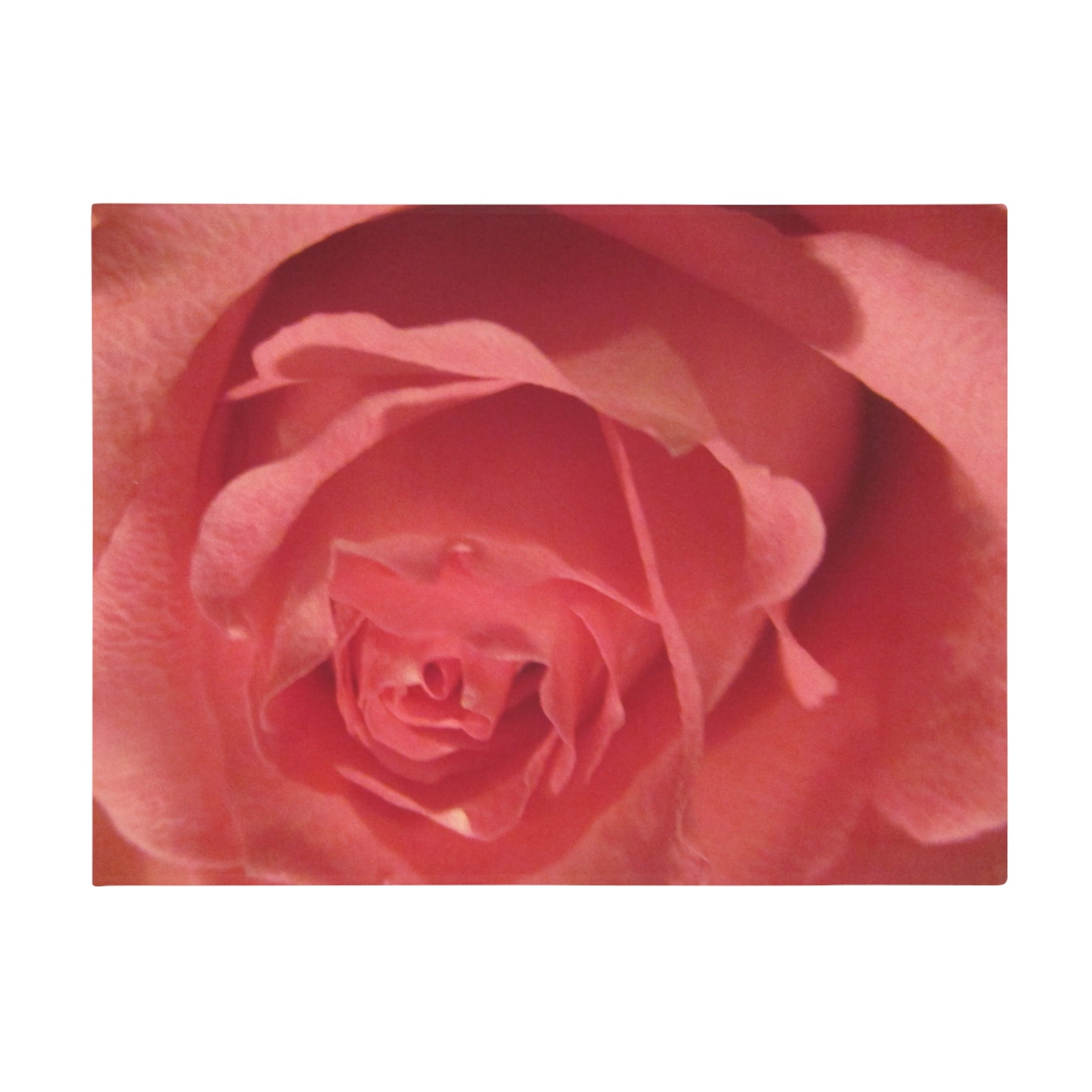 Rose-Themed | Plush Fleece Blanket | Blossom Blankets