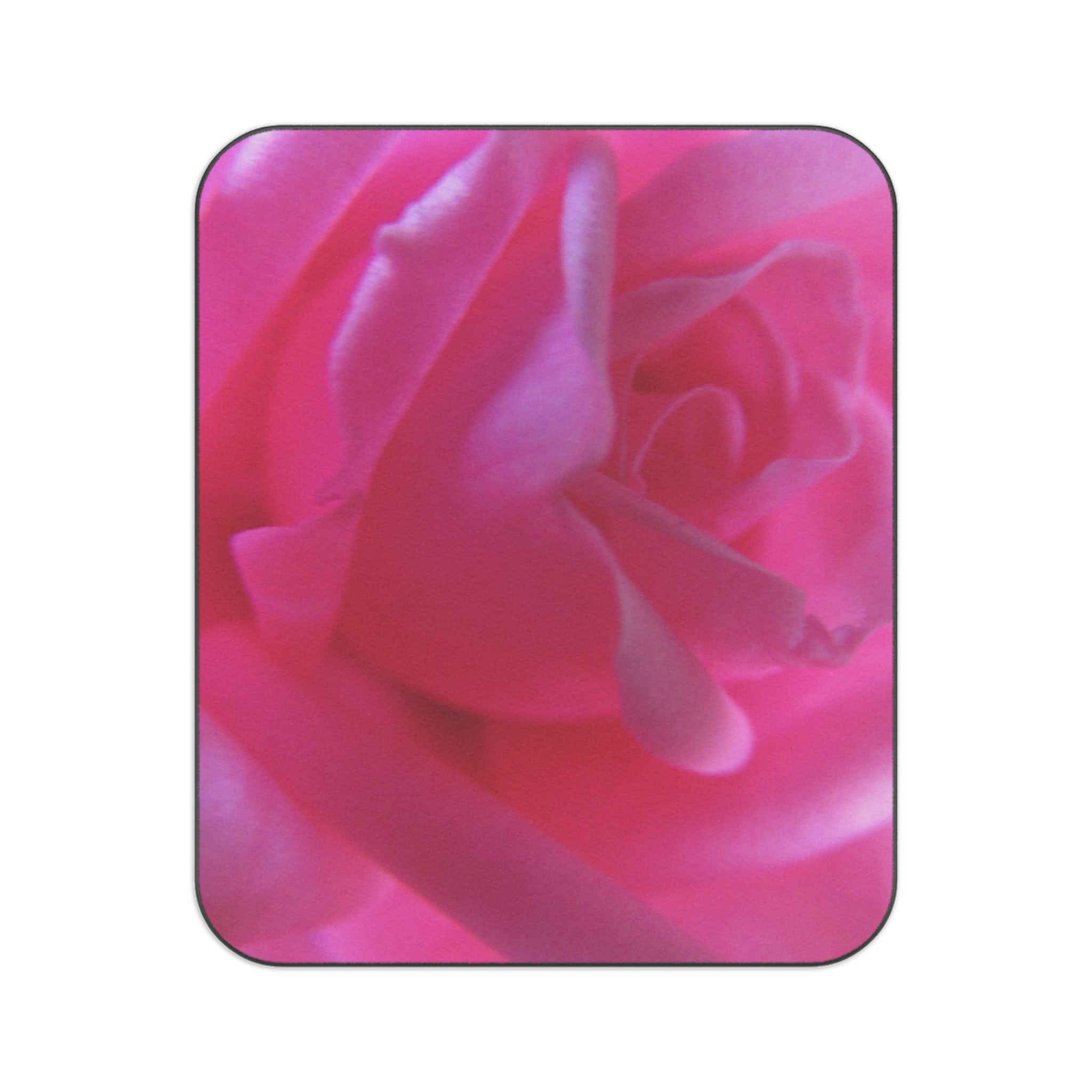 Vibrant Pink Rose - Picnic Blanket | Blossom Blankets