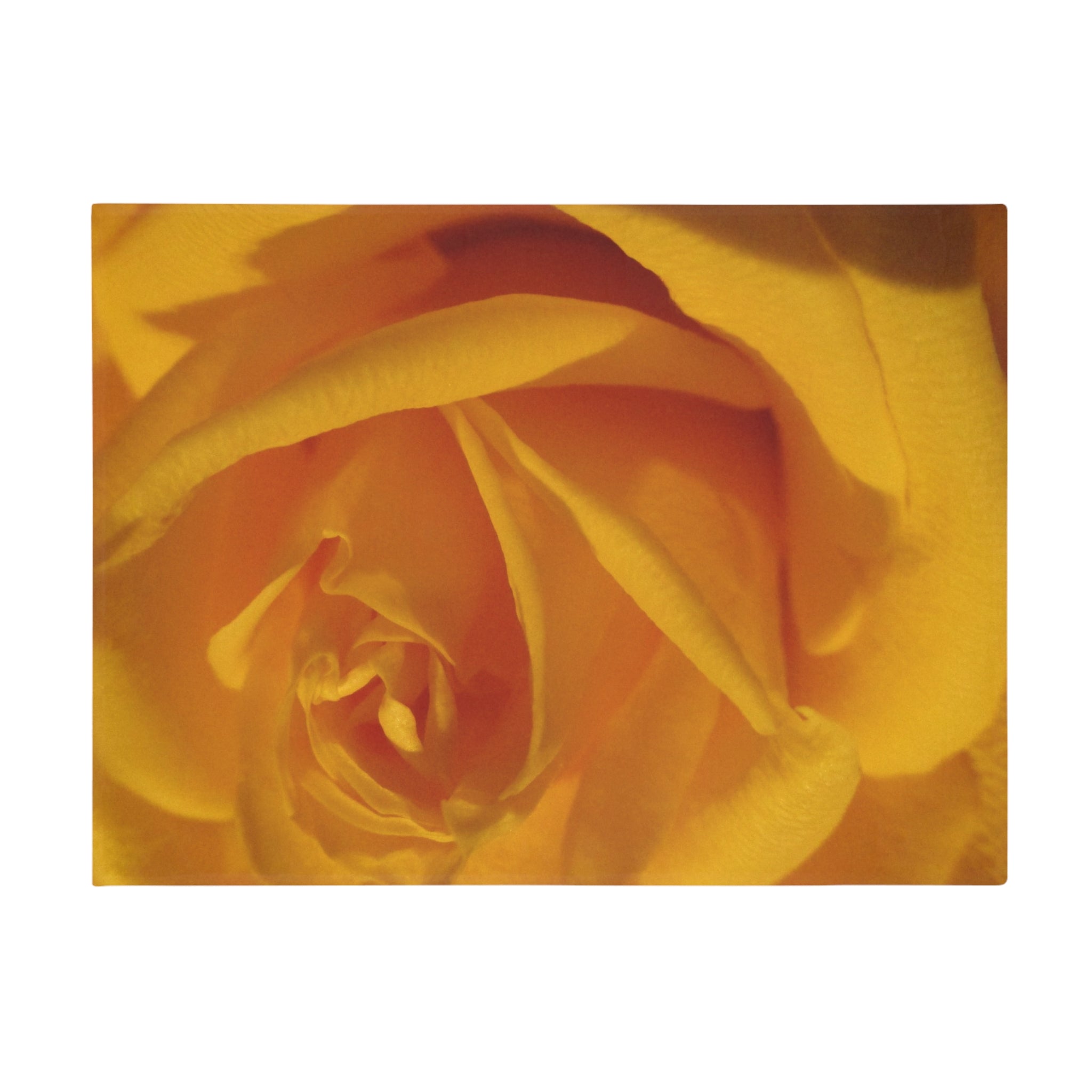 Yellow Rose | Plush Fleece Blanket | Blossom Blankets